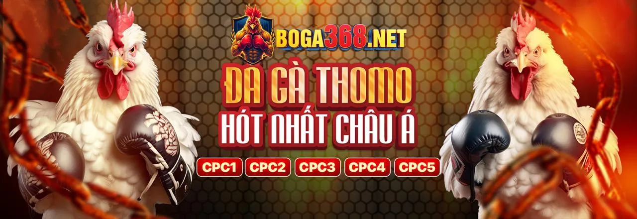 Hình ảnh chính về chơi có trách nhiệm tại 5top link vào