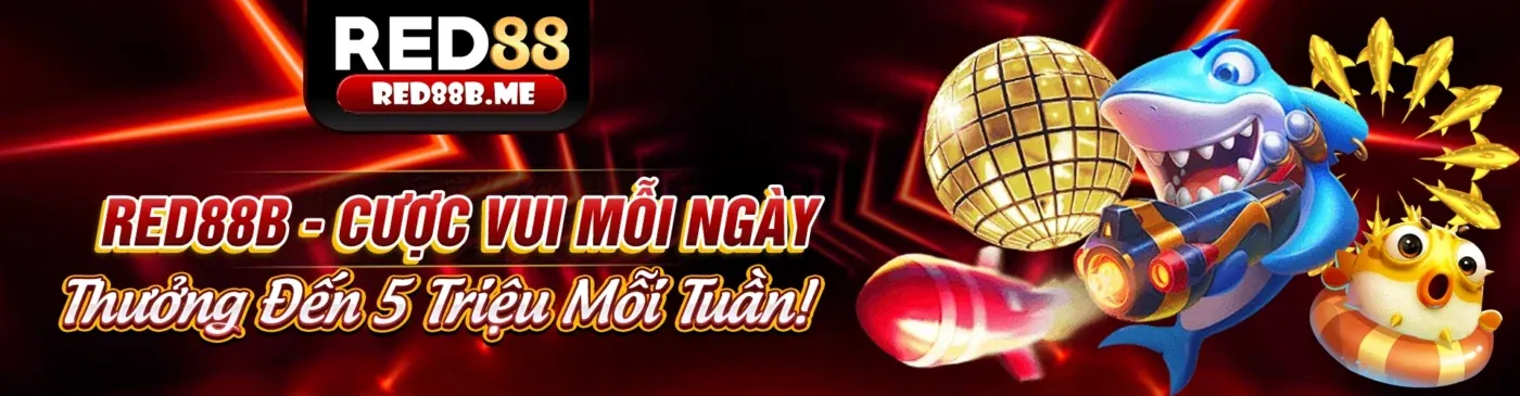 Khuyến Mãi Hấp Dẫn tại 5top link vào